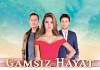 Gamsız Hayat 6.bölüm izle